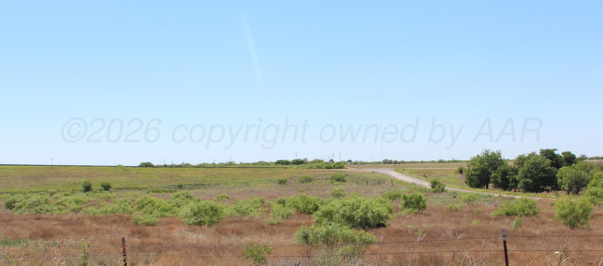 54 acres in Hardeman County gallery image 4