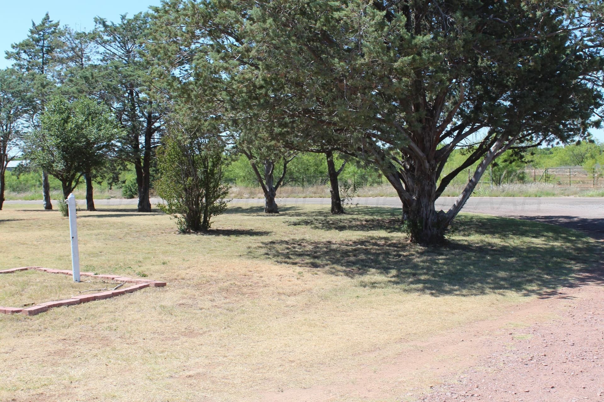 54 acres in Hardeman County - photo 16