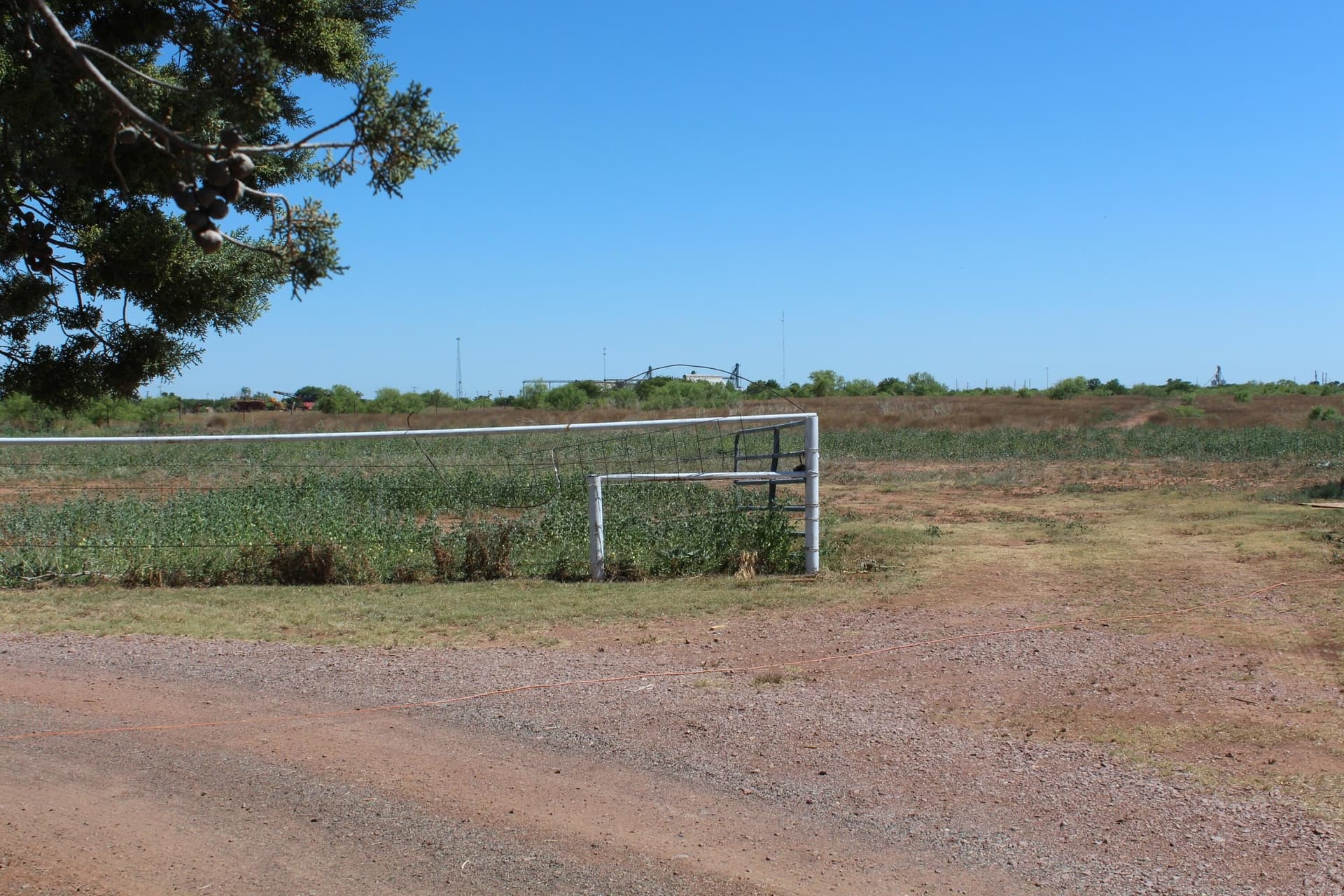 54 acres in Hardeman County - photo 14