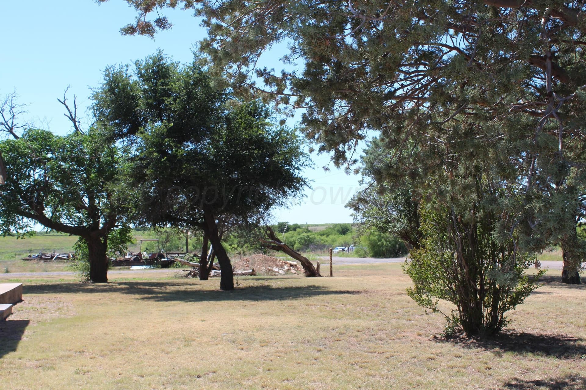 54 acres in Hardeman County - photo 15