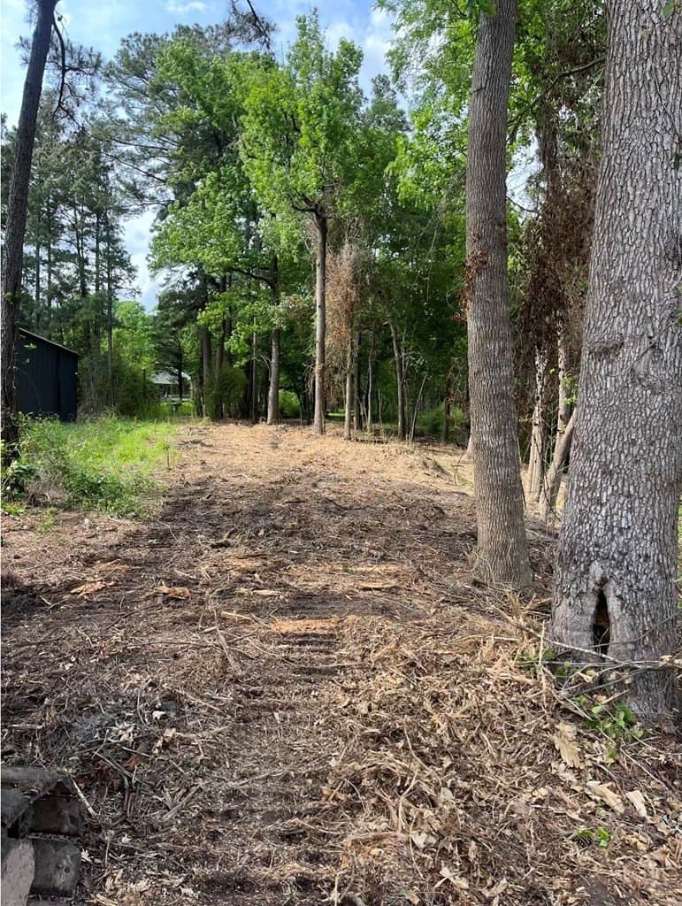 1.17 acres in Texas County featured view
