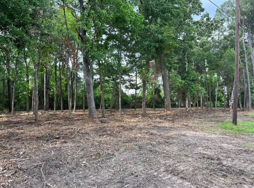 1.17 acres in Texas County gallery image 2