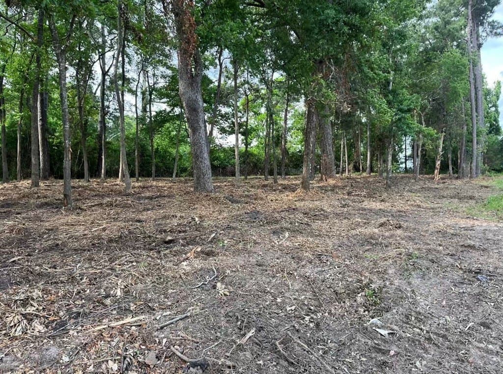 1.17 acres in Texas County gallery image 3