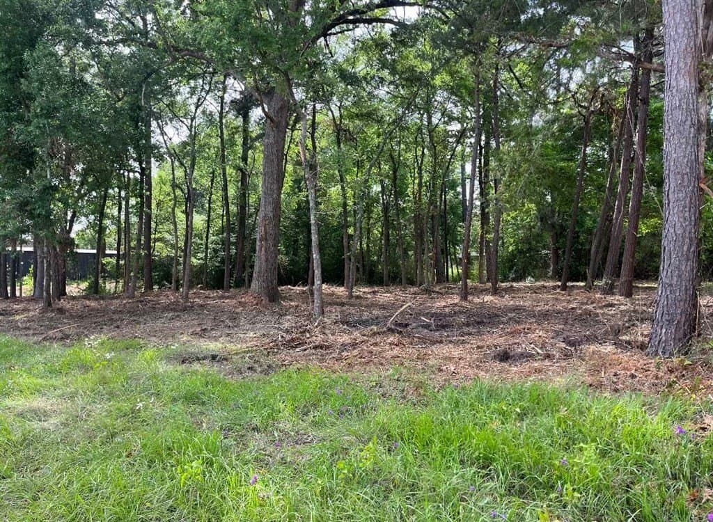1.17 acres in Texas County gallery image 4
