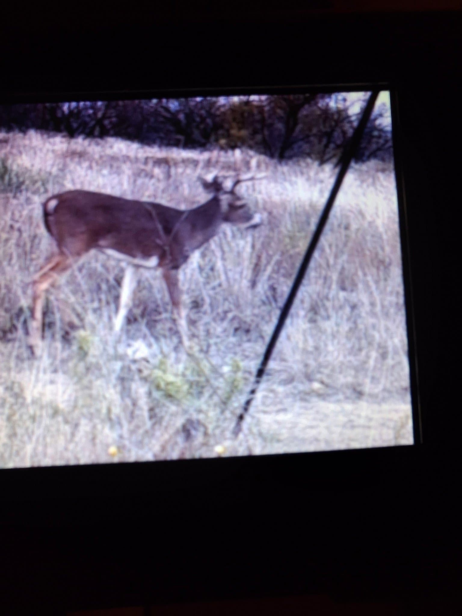 43.8 acres in Runnels County - photo 35