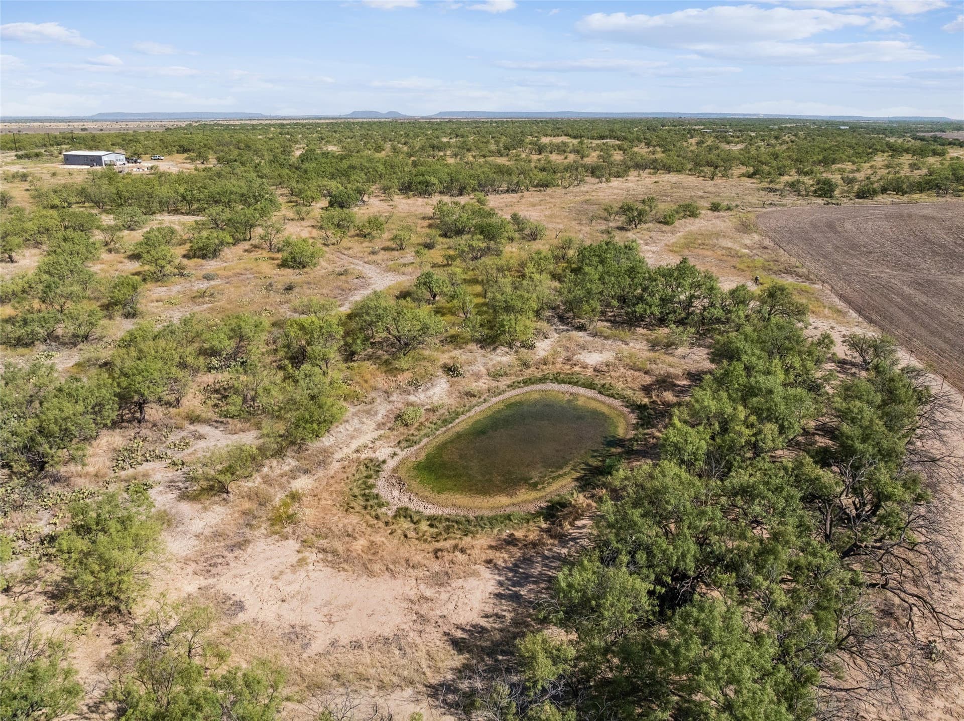 43.8 acres in Runnels County - photo 8