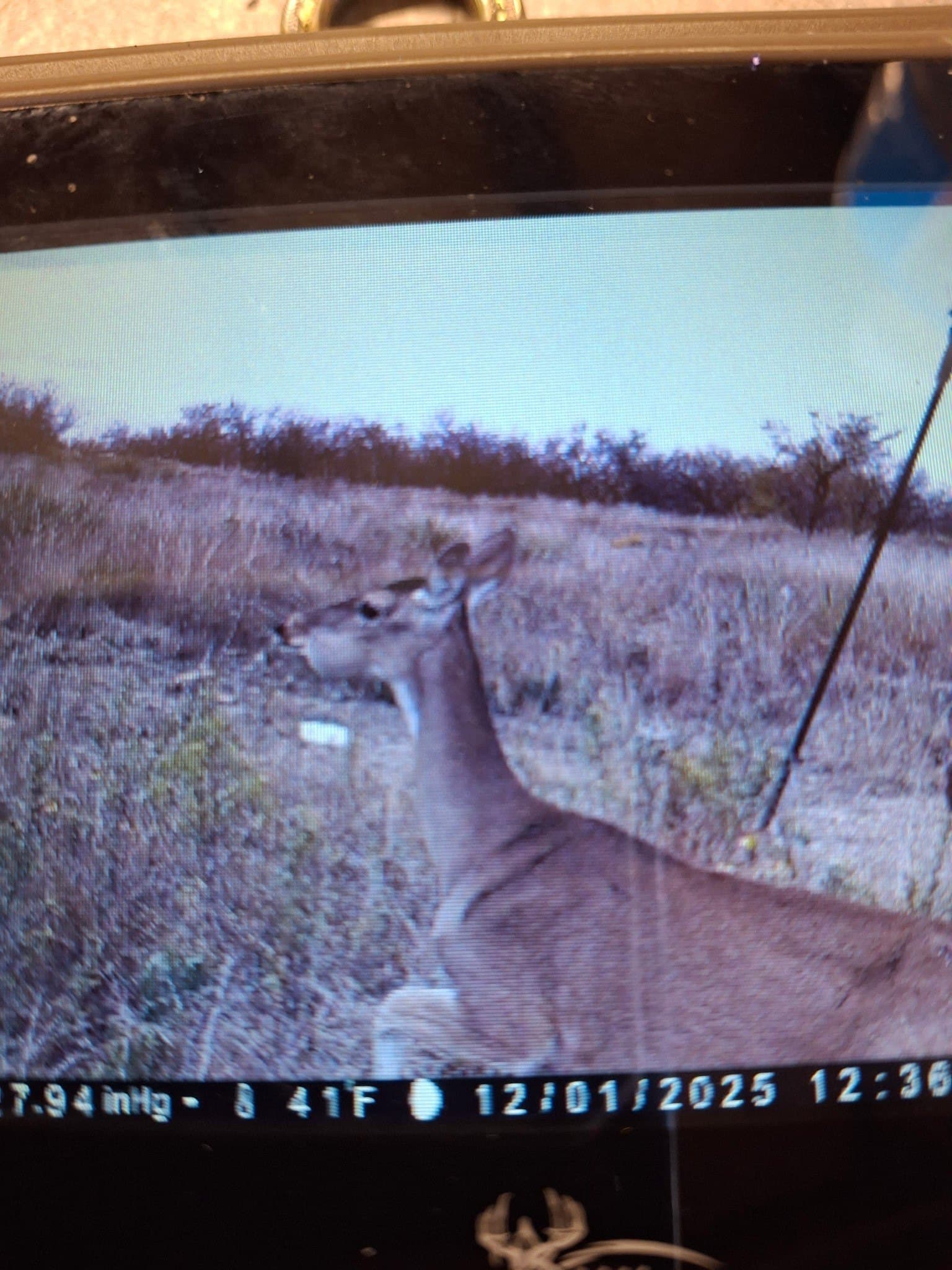43.8 acres in Runnels County - photo 34
