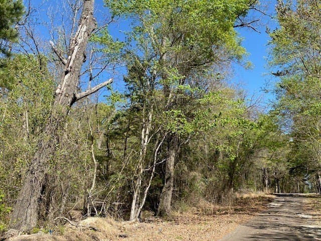 2.2 acres in Van Zandt County - photo 6