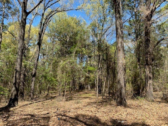 2.2 acres in Van Zandt County - photo 4