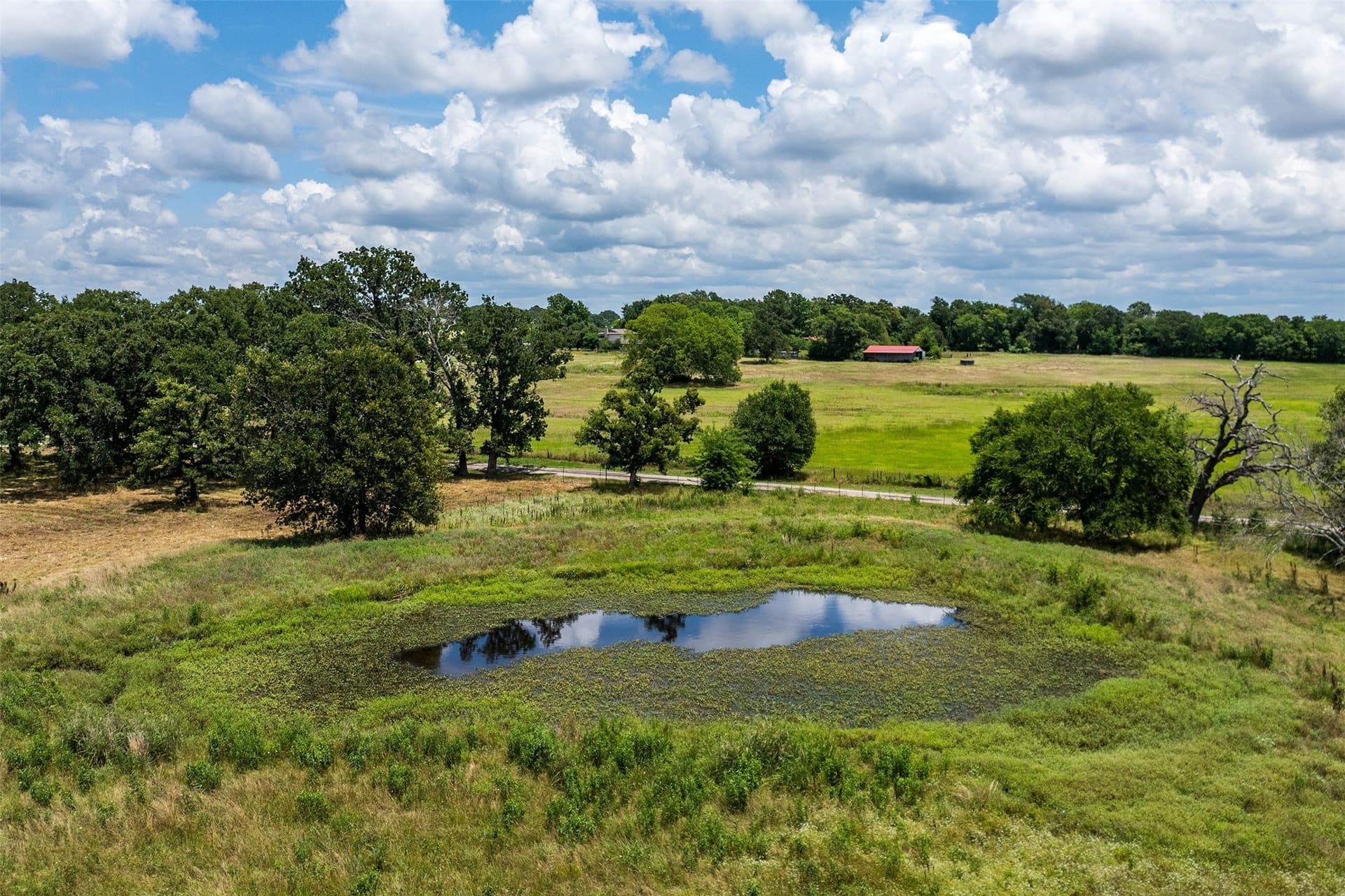5.01 acres in Van Zandt County gallery image 3