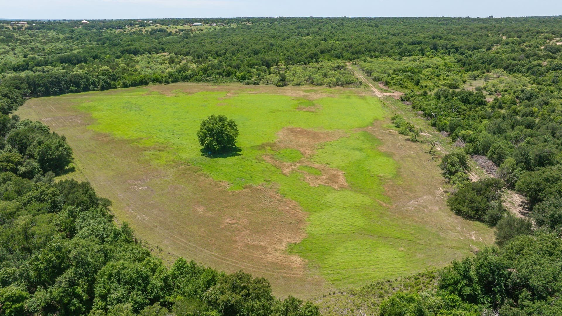 68.36 acres in Erath County - photo 29