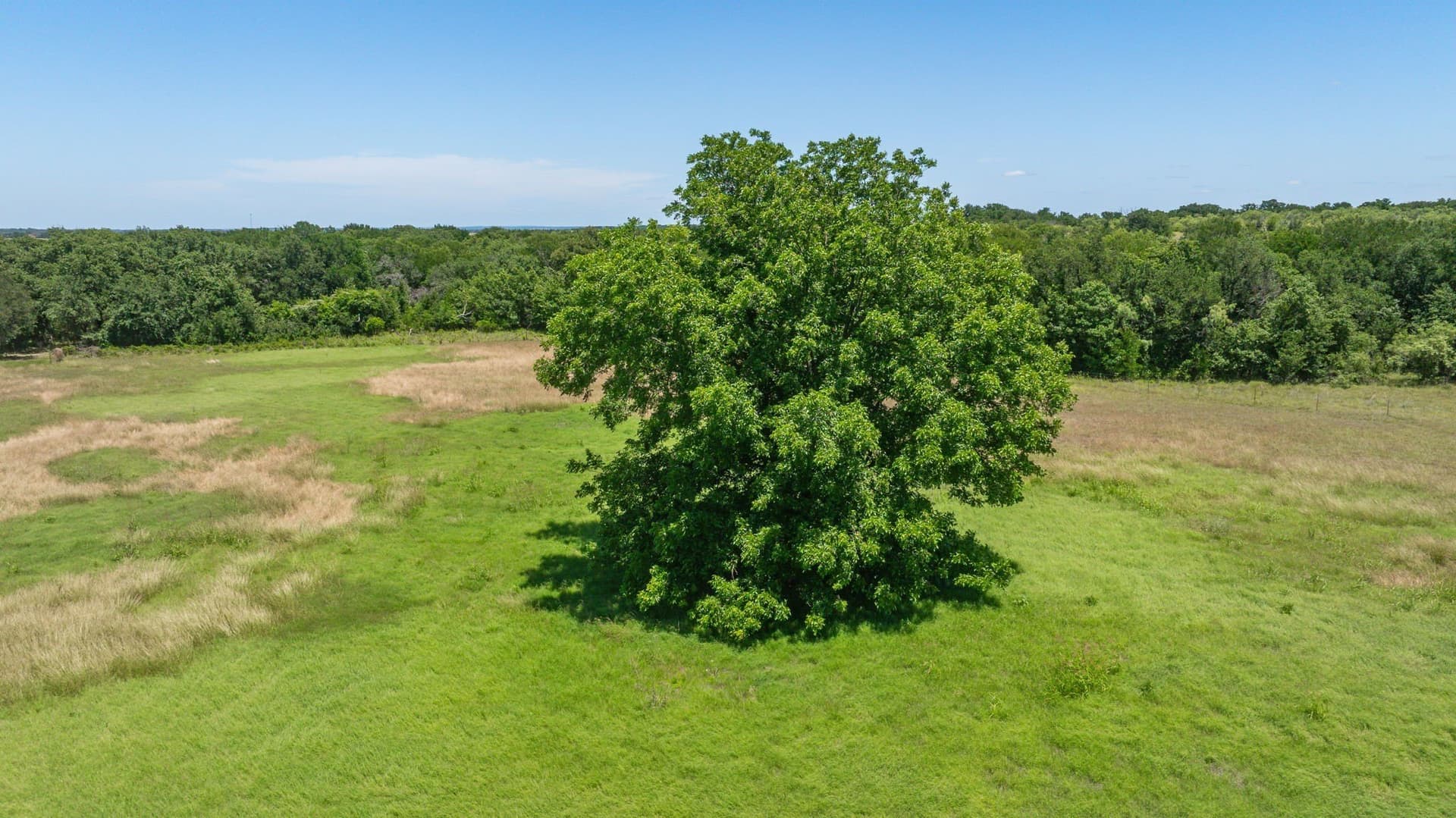 68.36 acres in Erath County - photo 25
