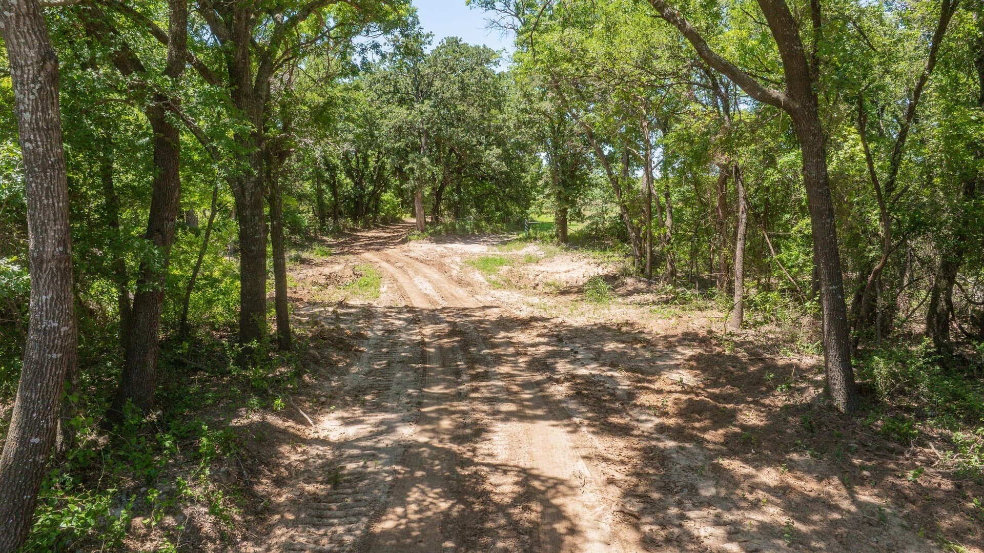68.36 acres in Erath County - photo 23