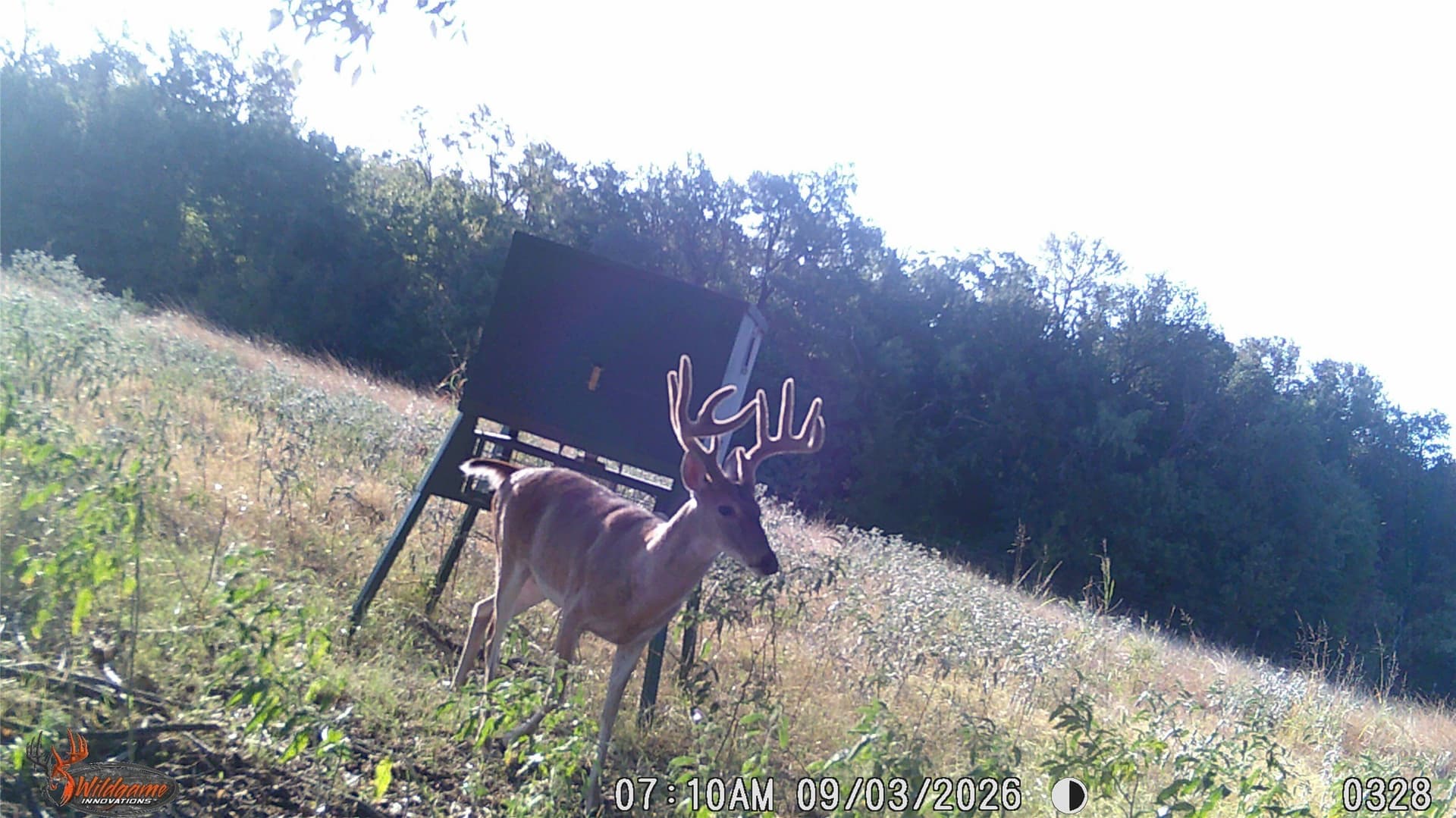 68.36 acres in Erath County - photo 15