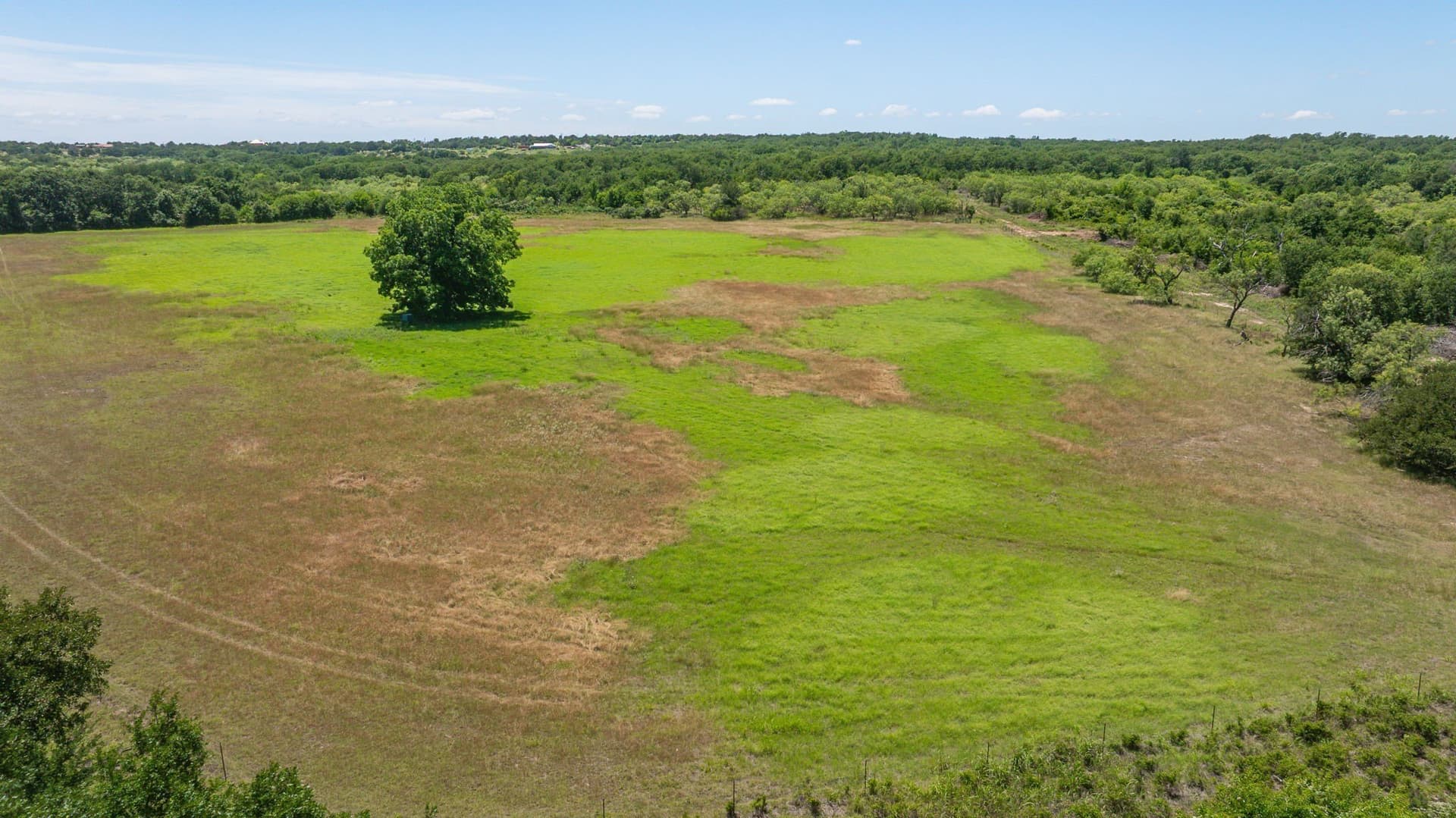 68.36 acres in Erath County - photo 28