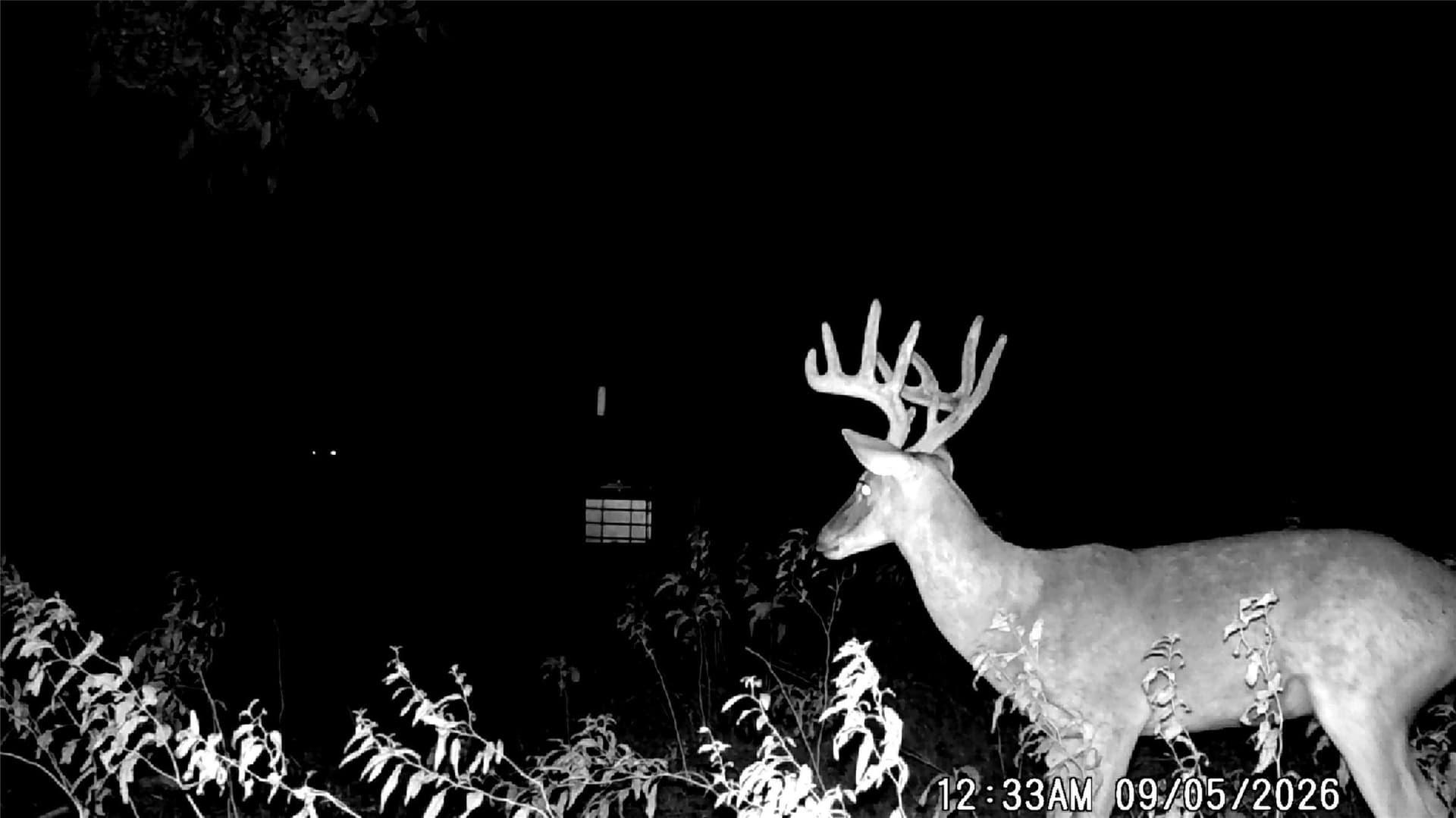 68.36 acres in Erath County - photo 12