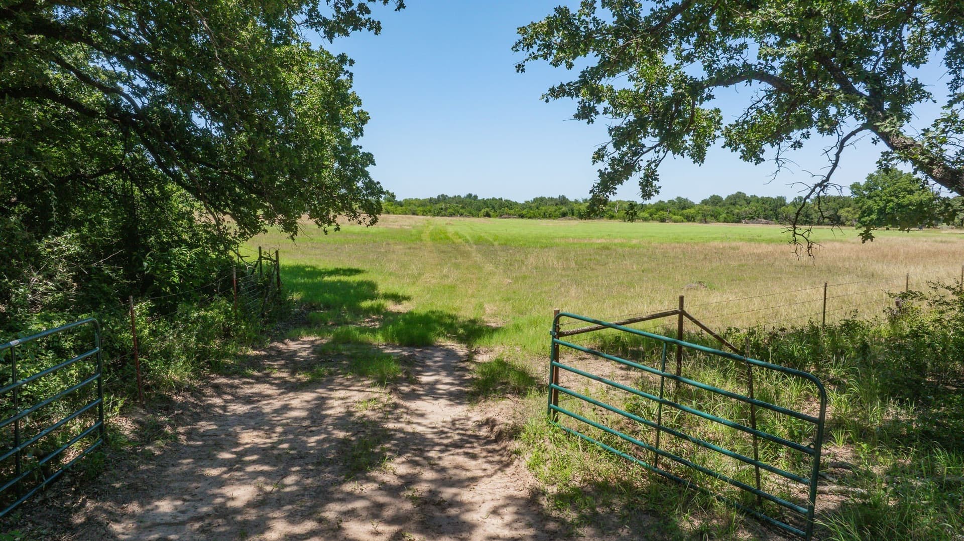 68.36 acres in Erath County - photo 24