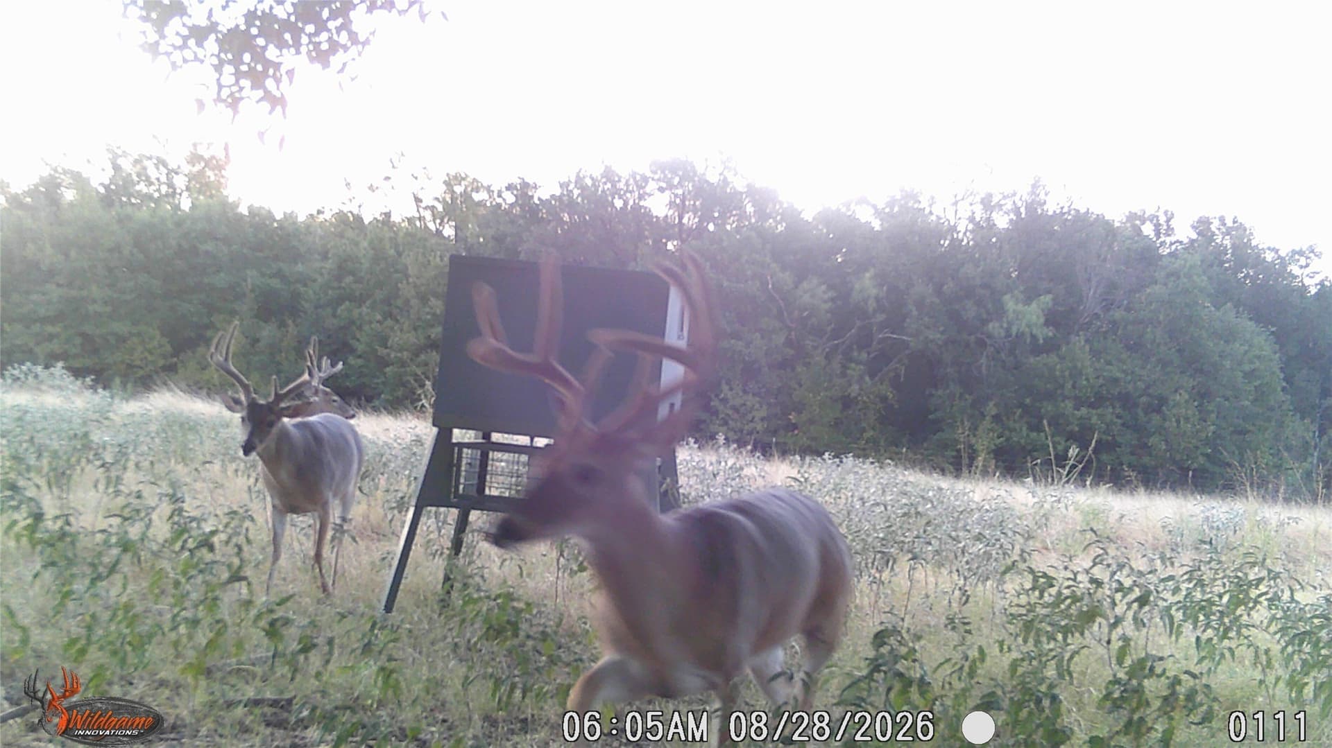 68.36 acres in Erath County - photo 11