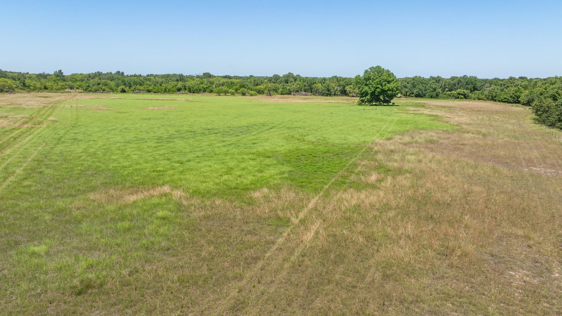 68.36 acres in Erath County - photo 36