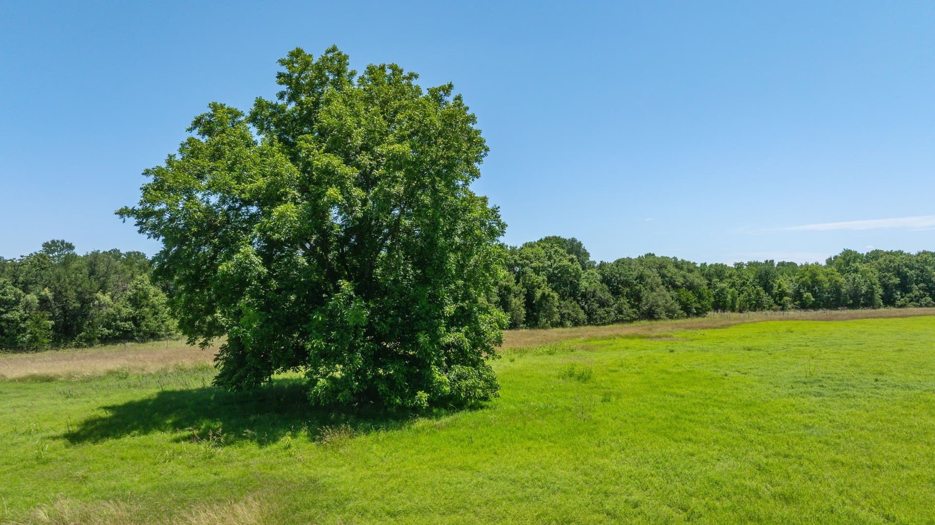 68.36 acres in Erath County - photo 26