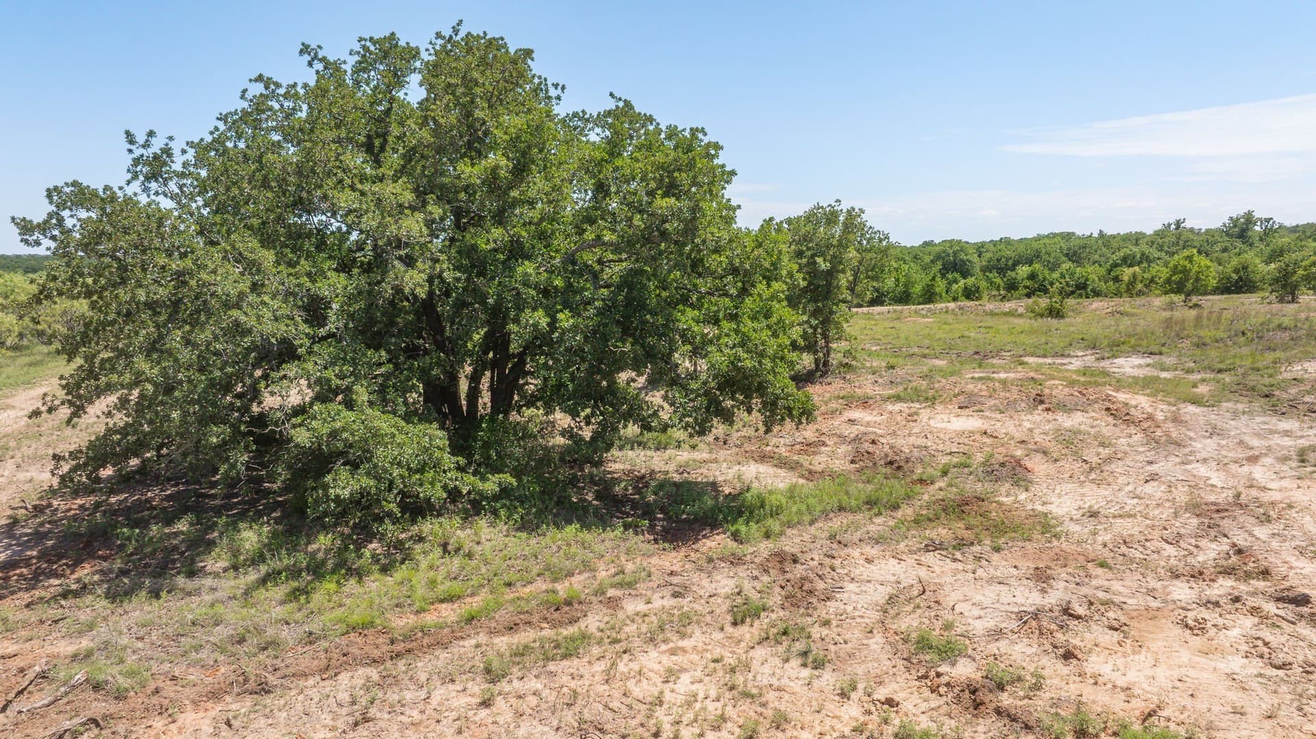 68.36 acres in Erath County - photo 8