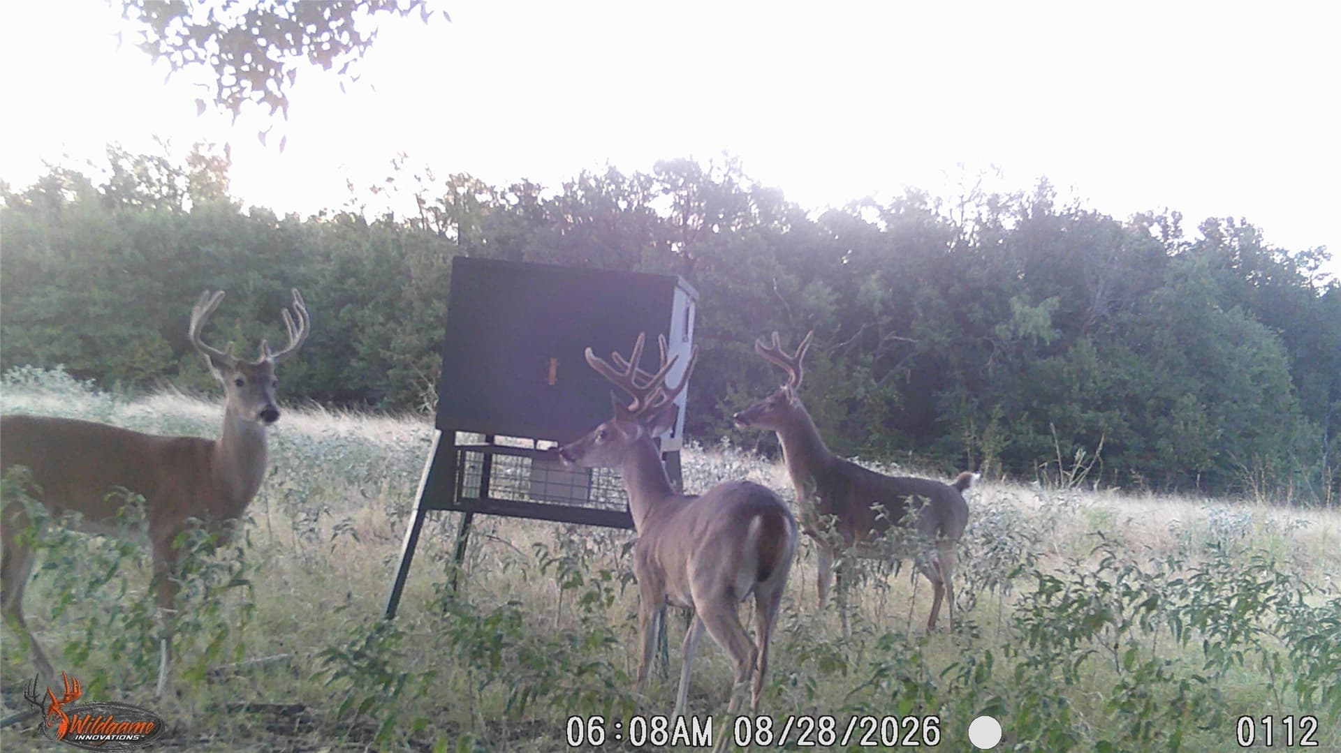 68.36 acres in Erath County - photo 13