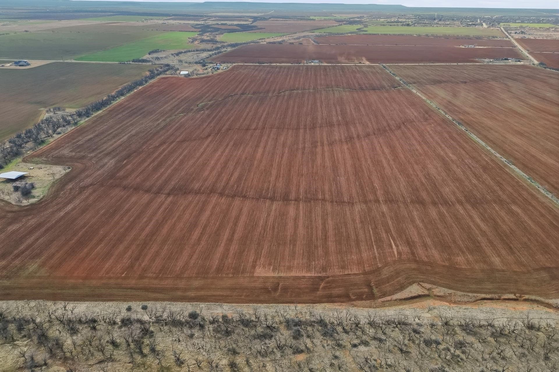 260.45 acres in Taylor County - photo 8