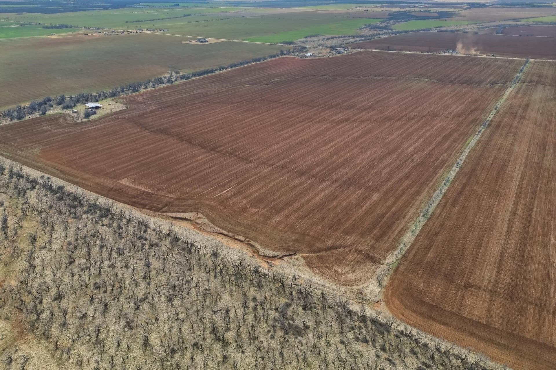 260.45 acres in Taylor County - photo 6