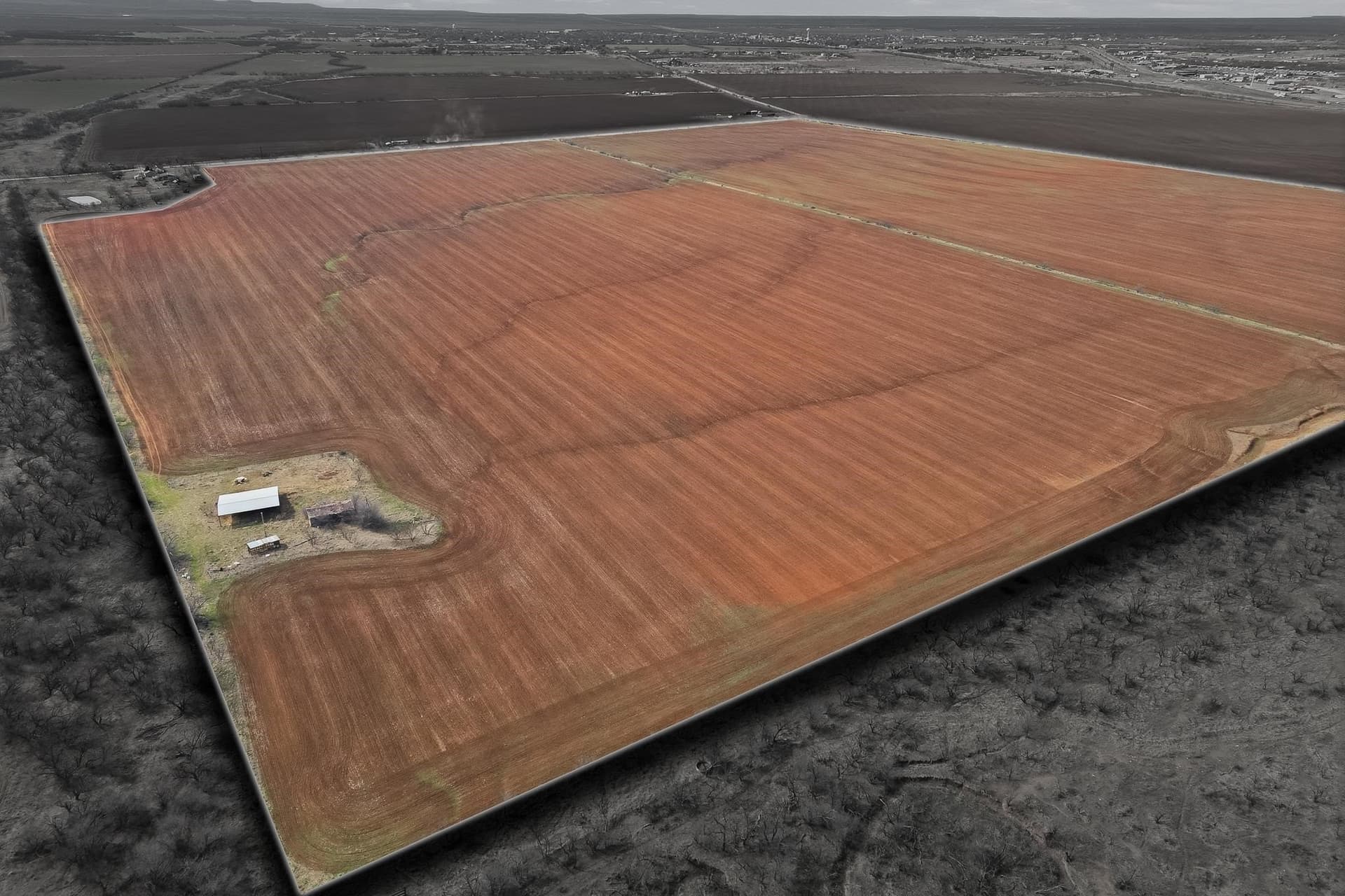 260.45 acres in Taylor County - photo 9
