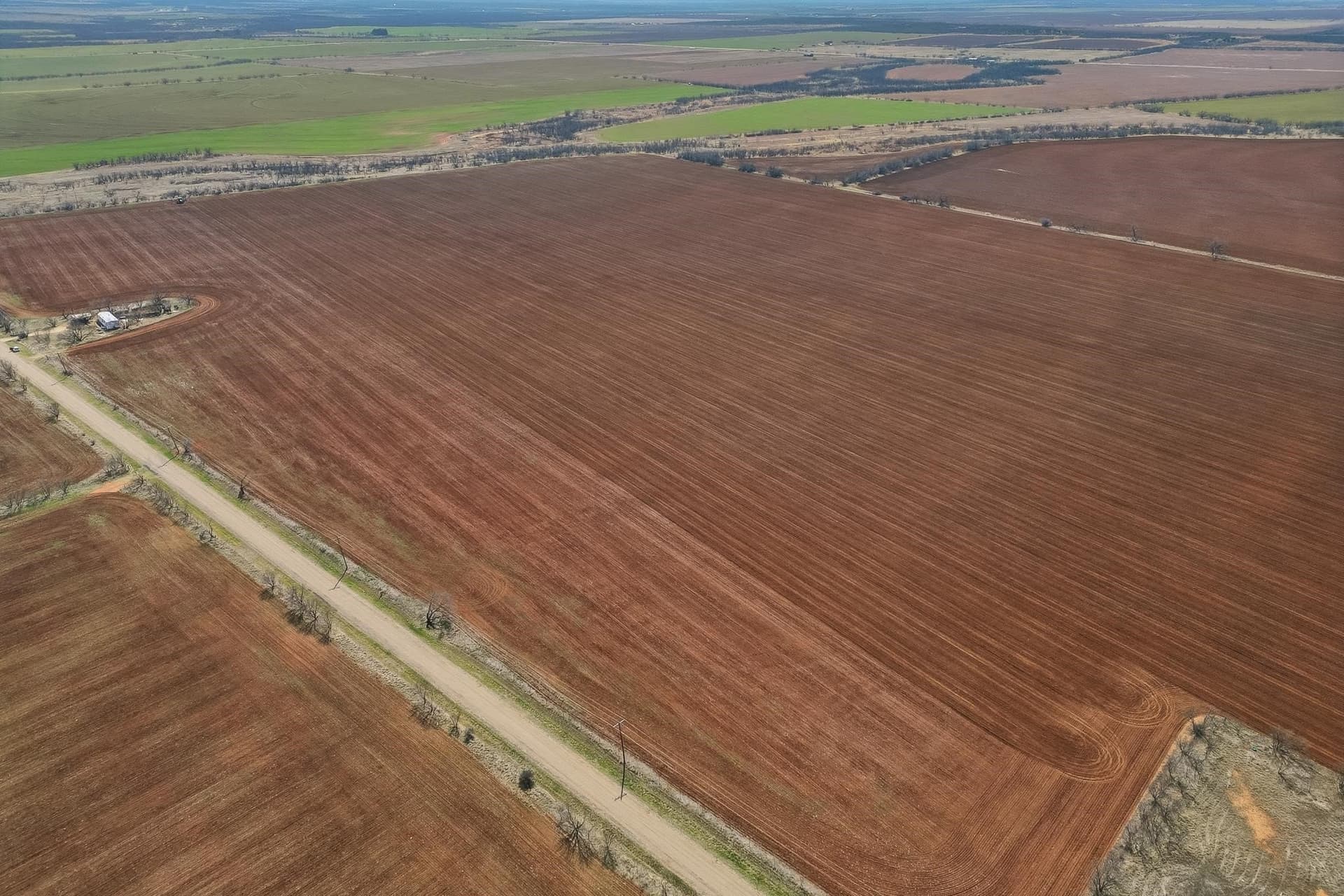 260.45 acres in Taylor County - photo 4
