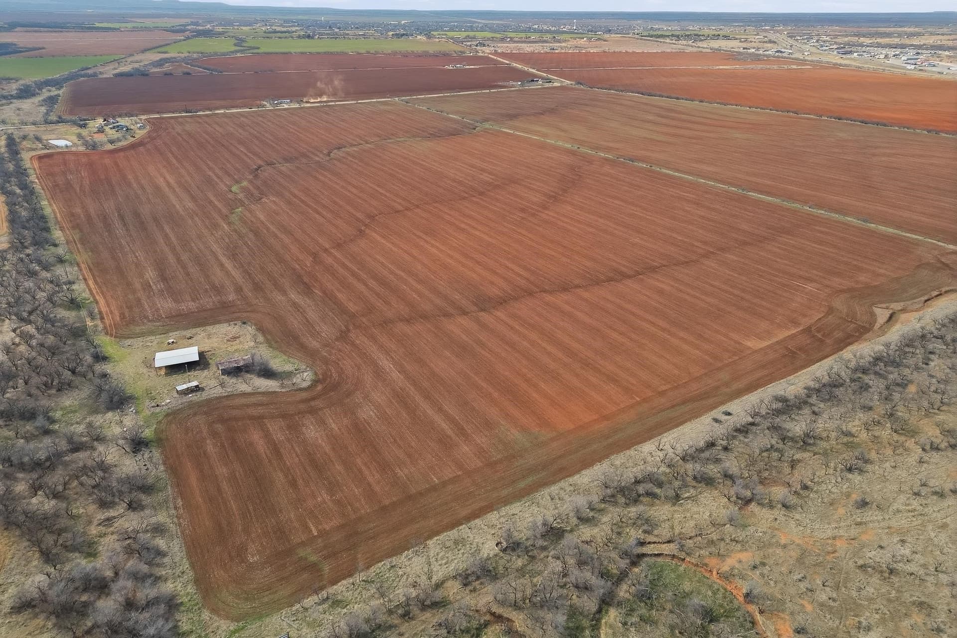 260.45 acres in Taylor County - photo 10