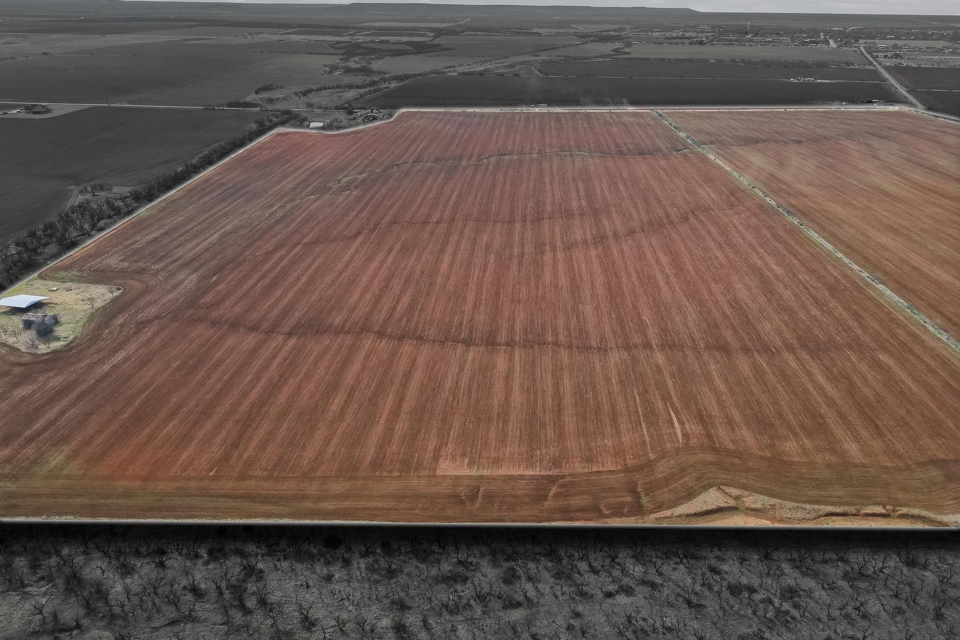 260.45 acres in Taylor County - photo 7