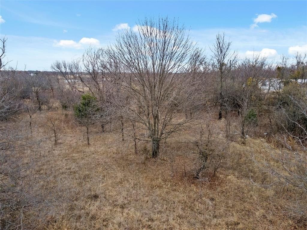 0.26 acres in Wise County gallery image 3