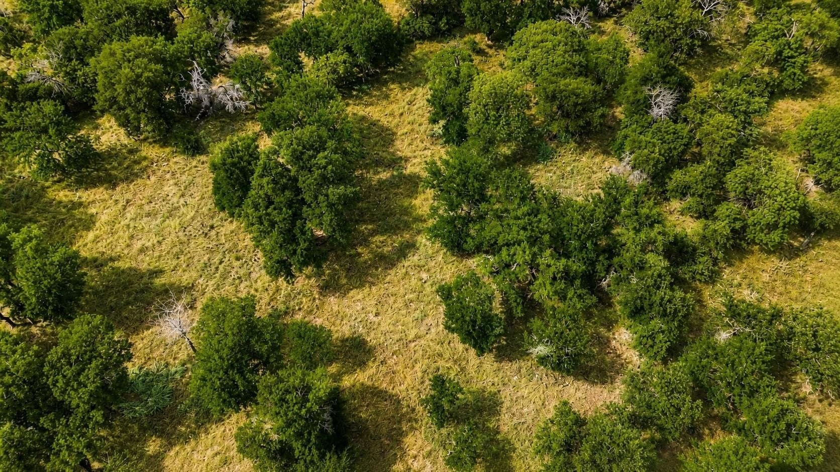 1 acres in Wise County - photo 3