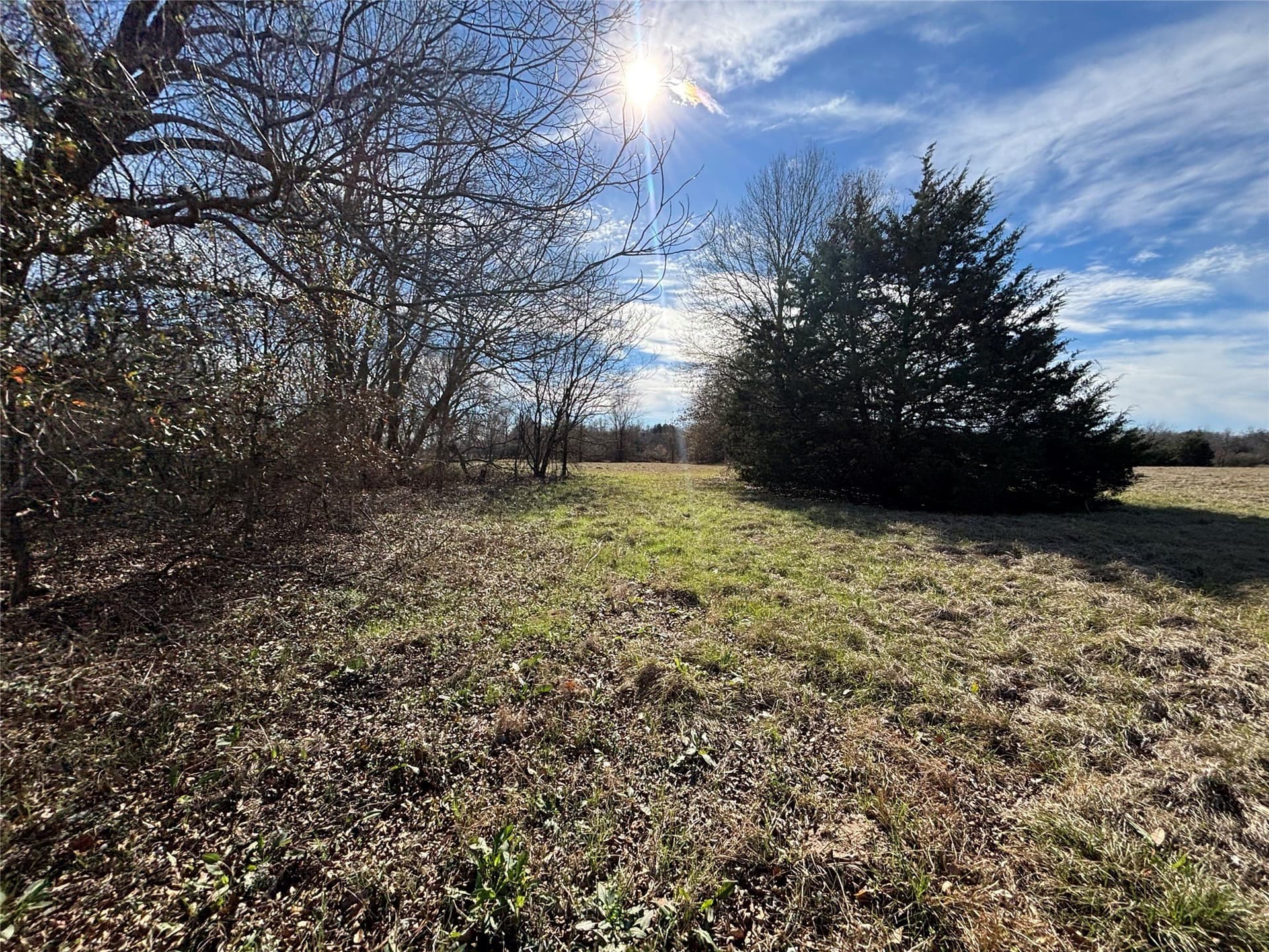 8.2 acres in Henderson County gallery image 3