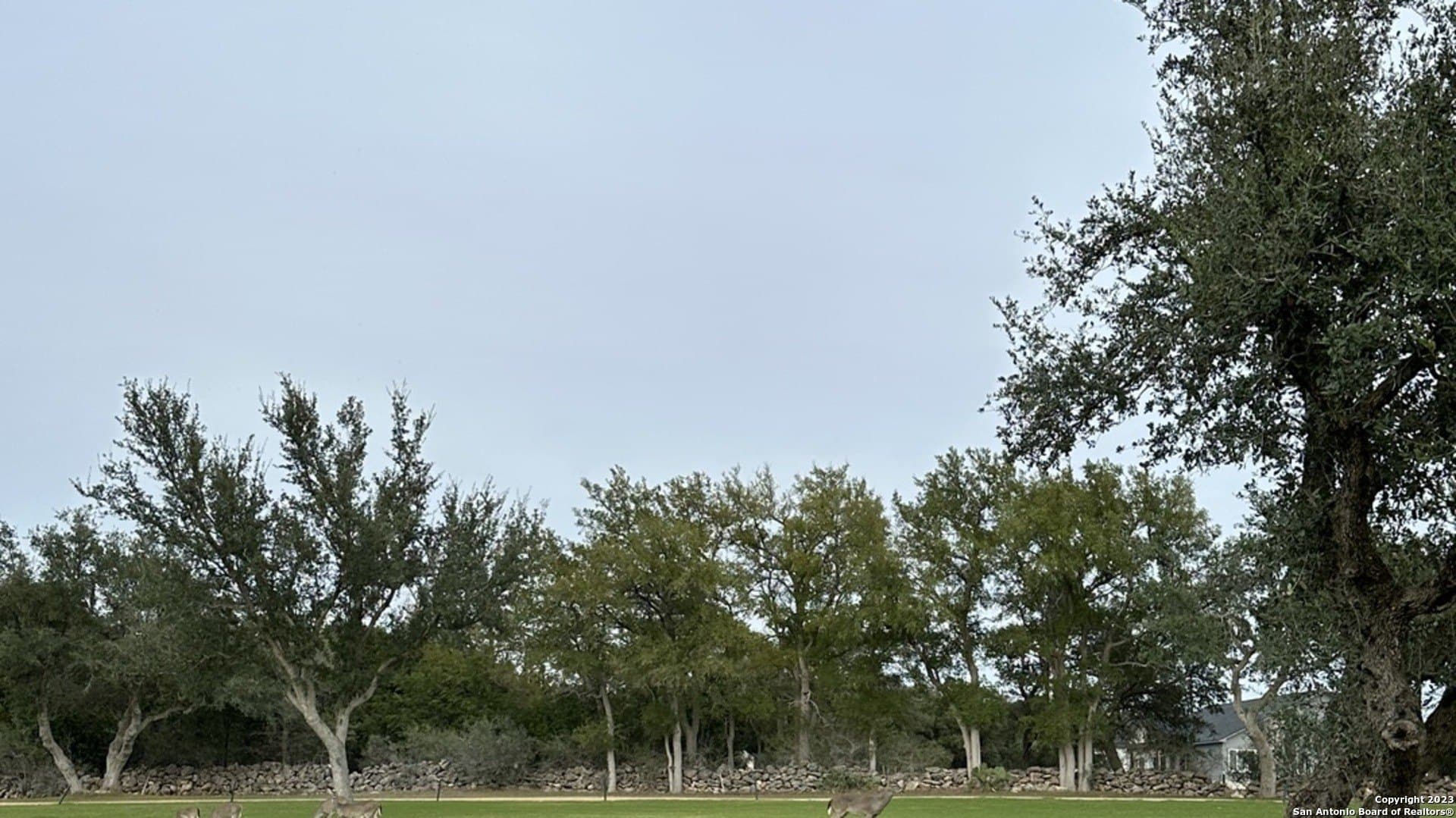 0.25 acres in Blanco County - photo 9
