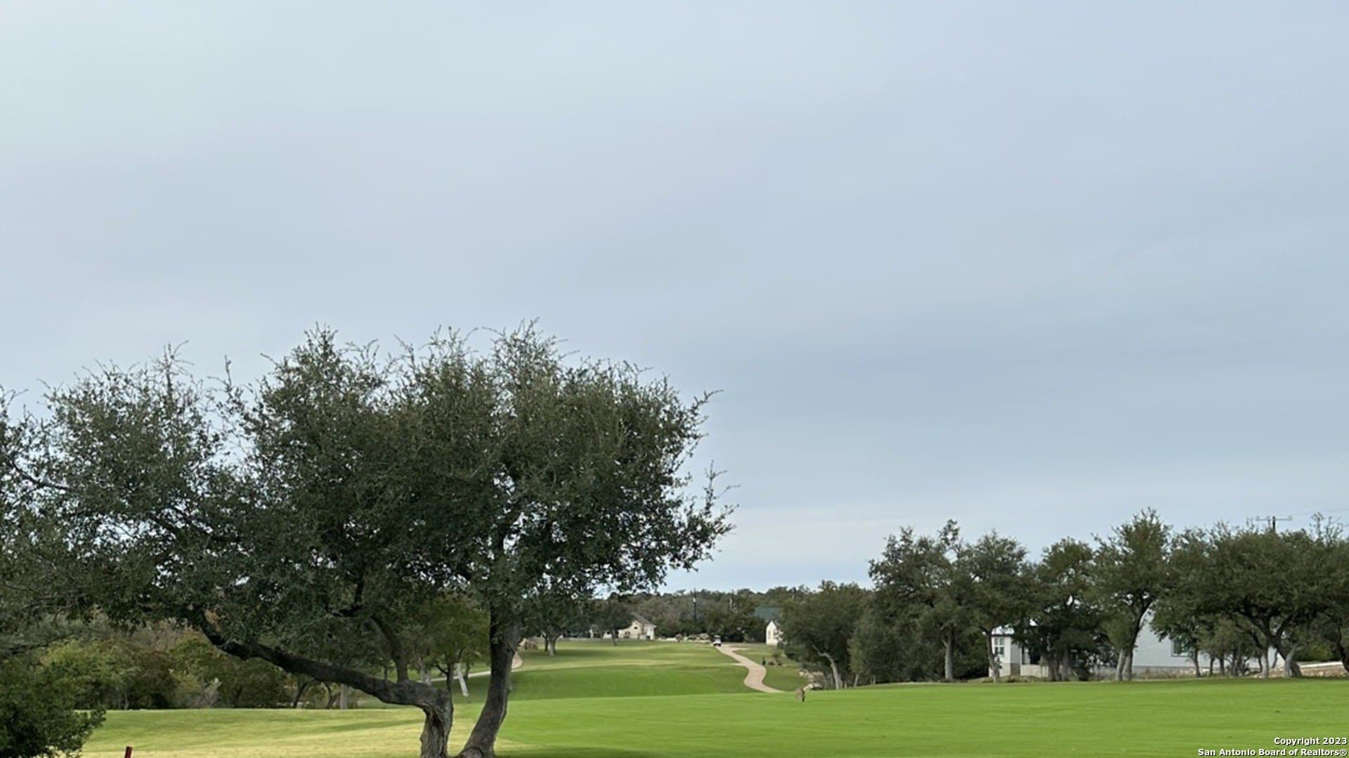 0.25 acres in Blanco County - photo 10