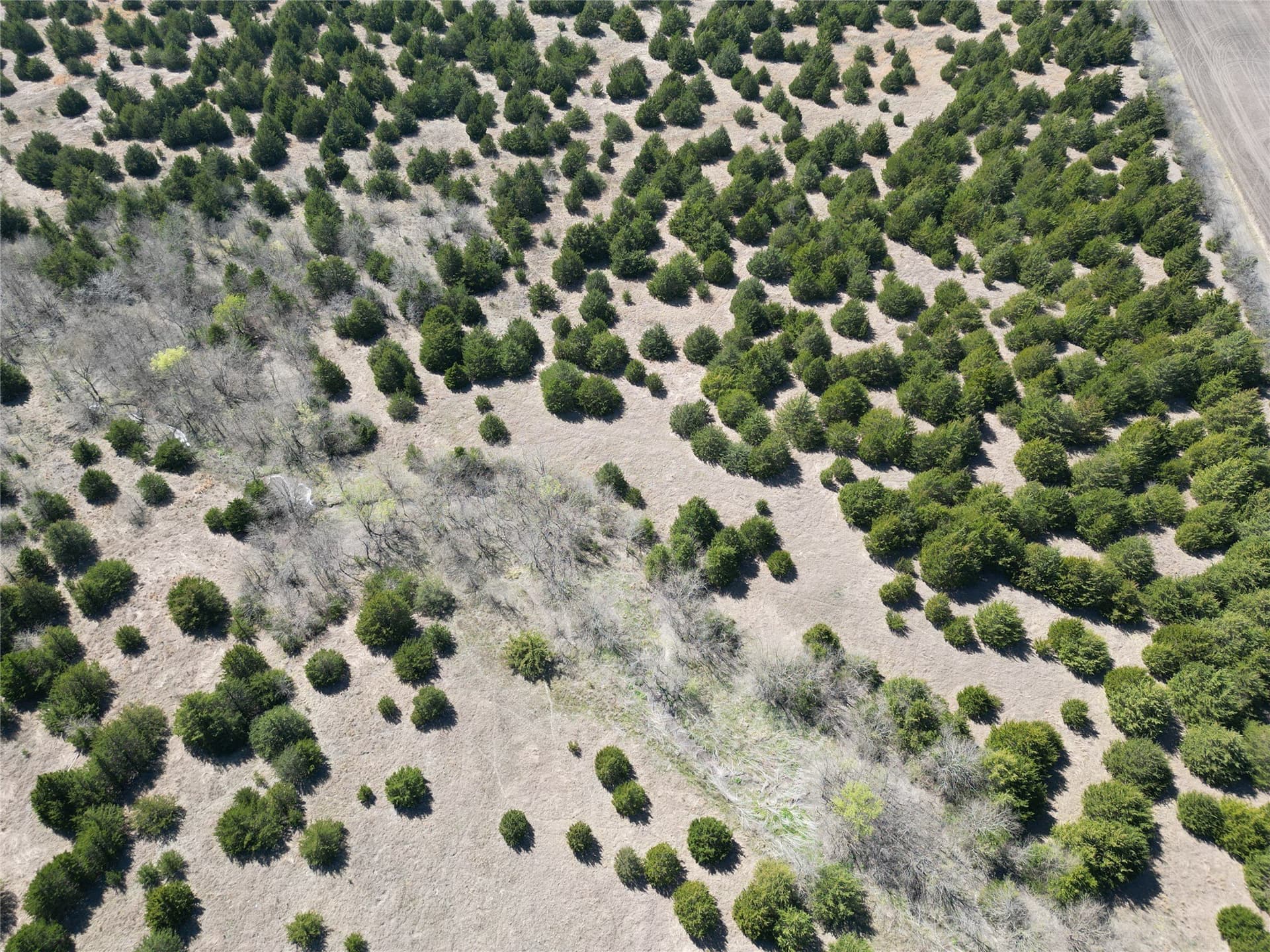 82 acres in Fannin County - photo 9
