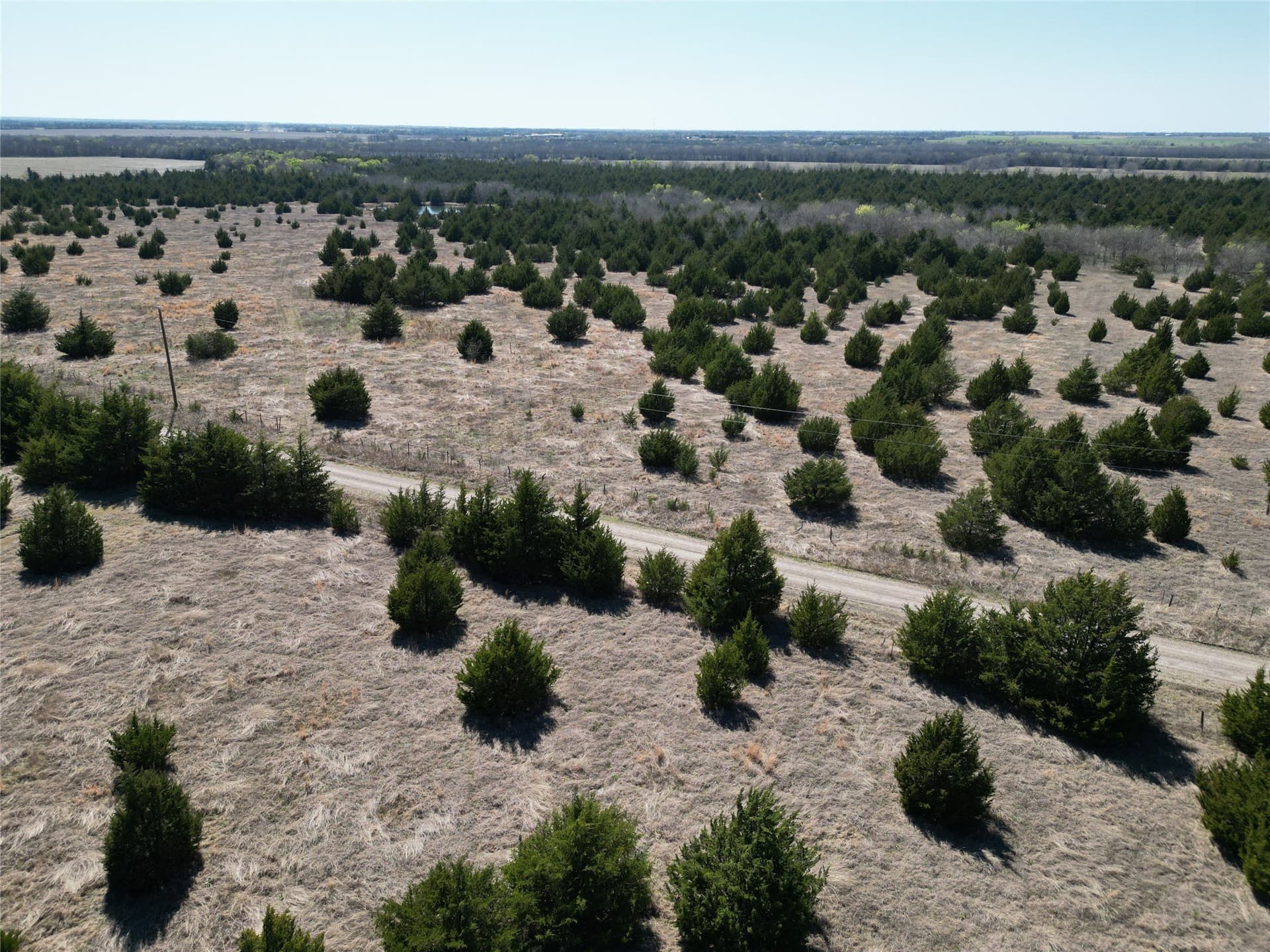 82 acres in Fannin County - photo 7