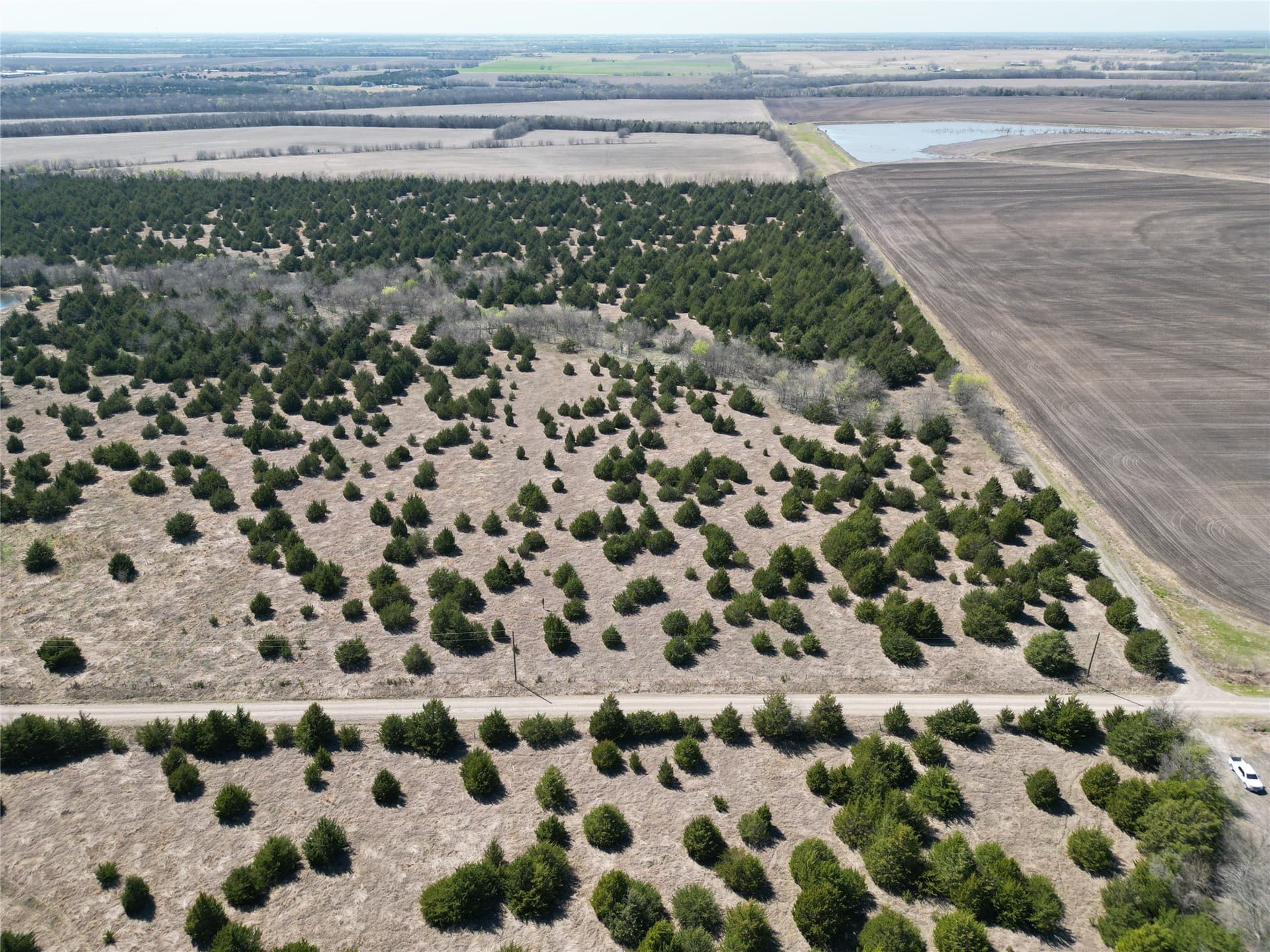 82 acres in Fannin County - photo 8