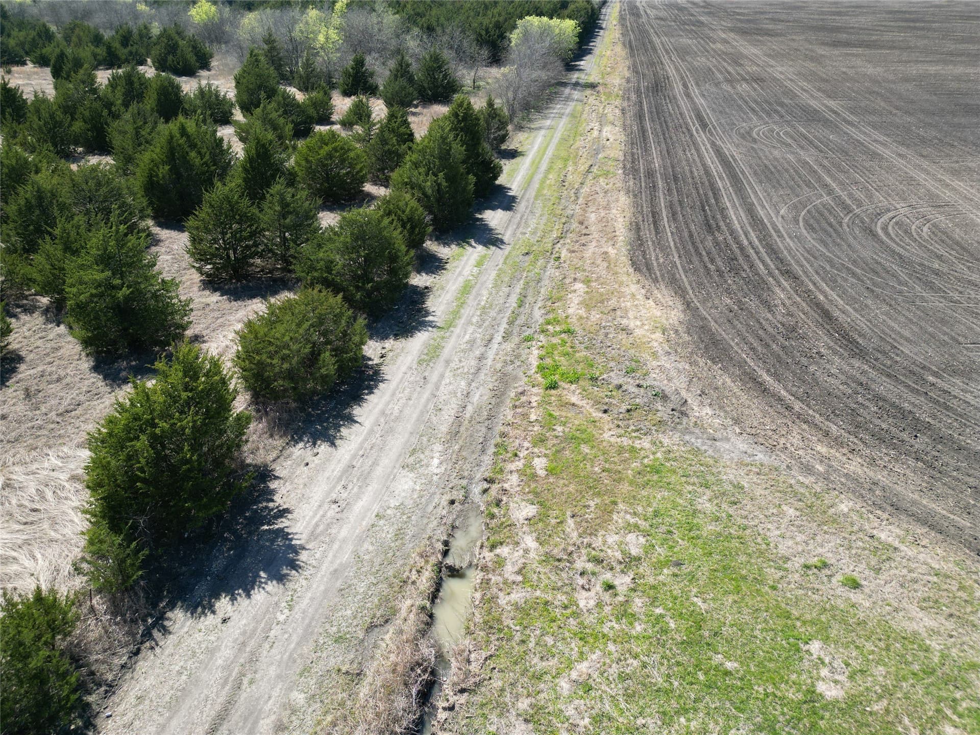 82 acres in Fannin County - photo 13