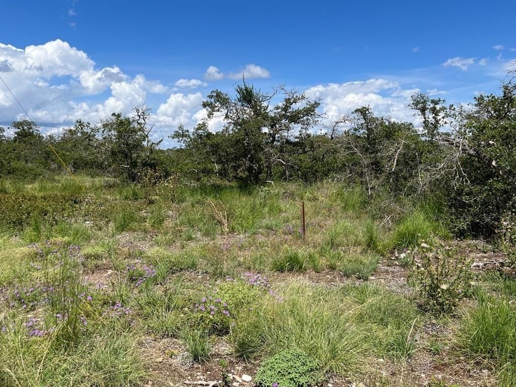 12.06 acres in Gillespie County - photo 3