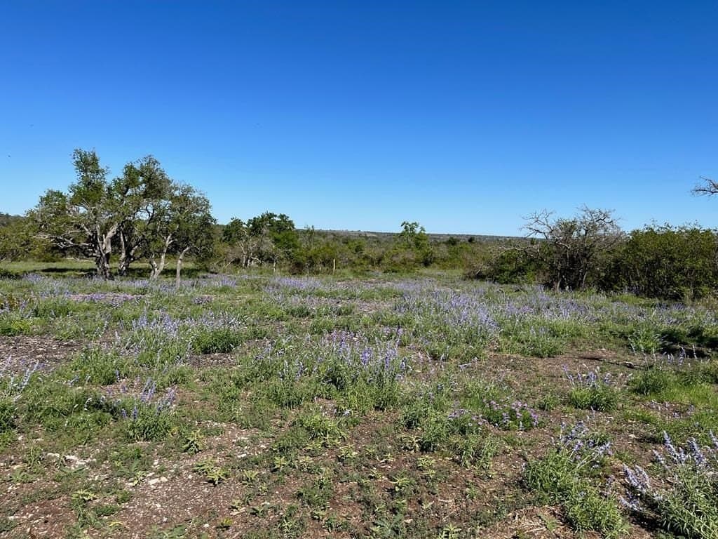 12.06 acres in Gillespie County - photo 5