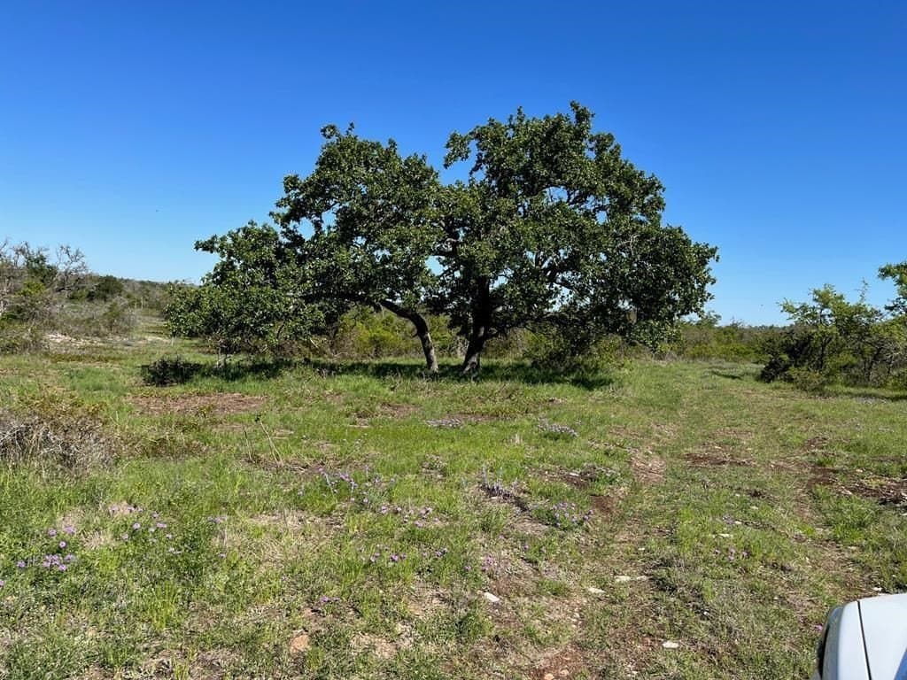 12.06 acres in Gillespie County - photo 2