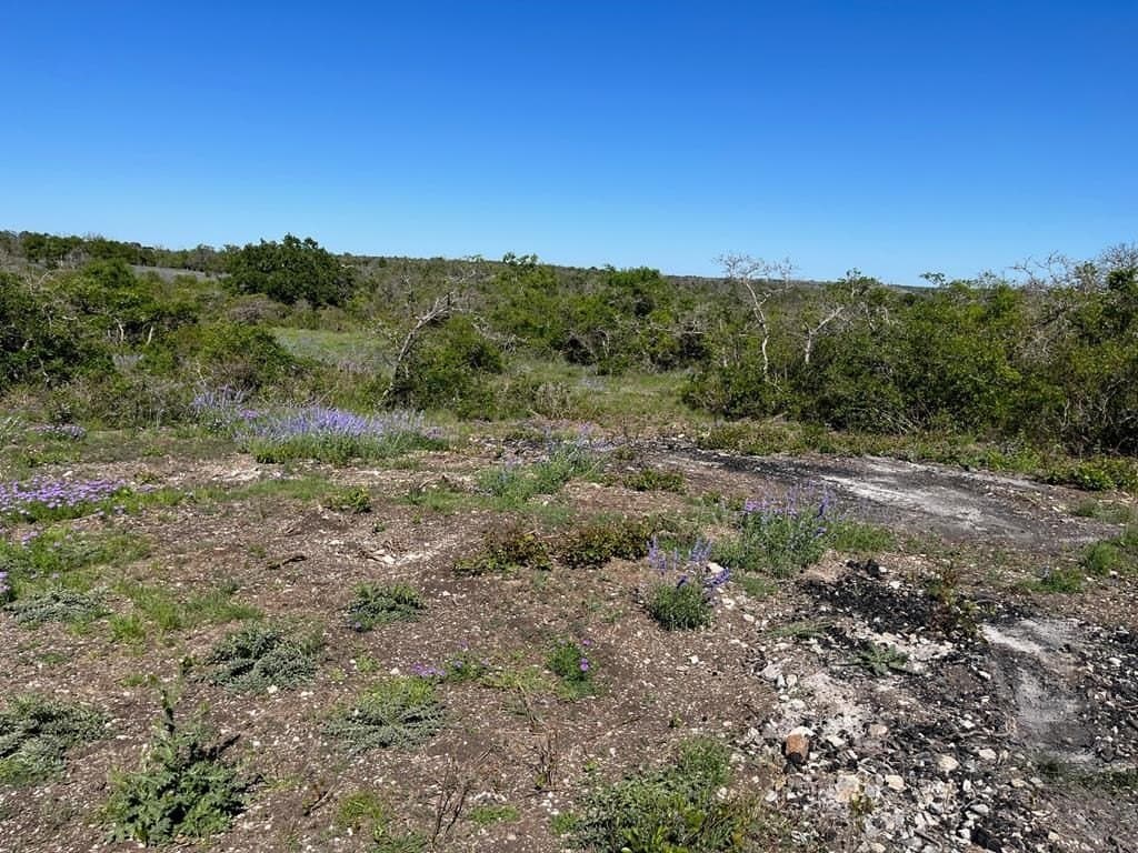 12.06 acres in Gillespie County - photo 6