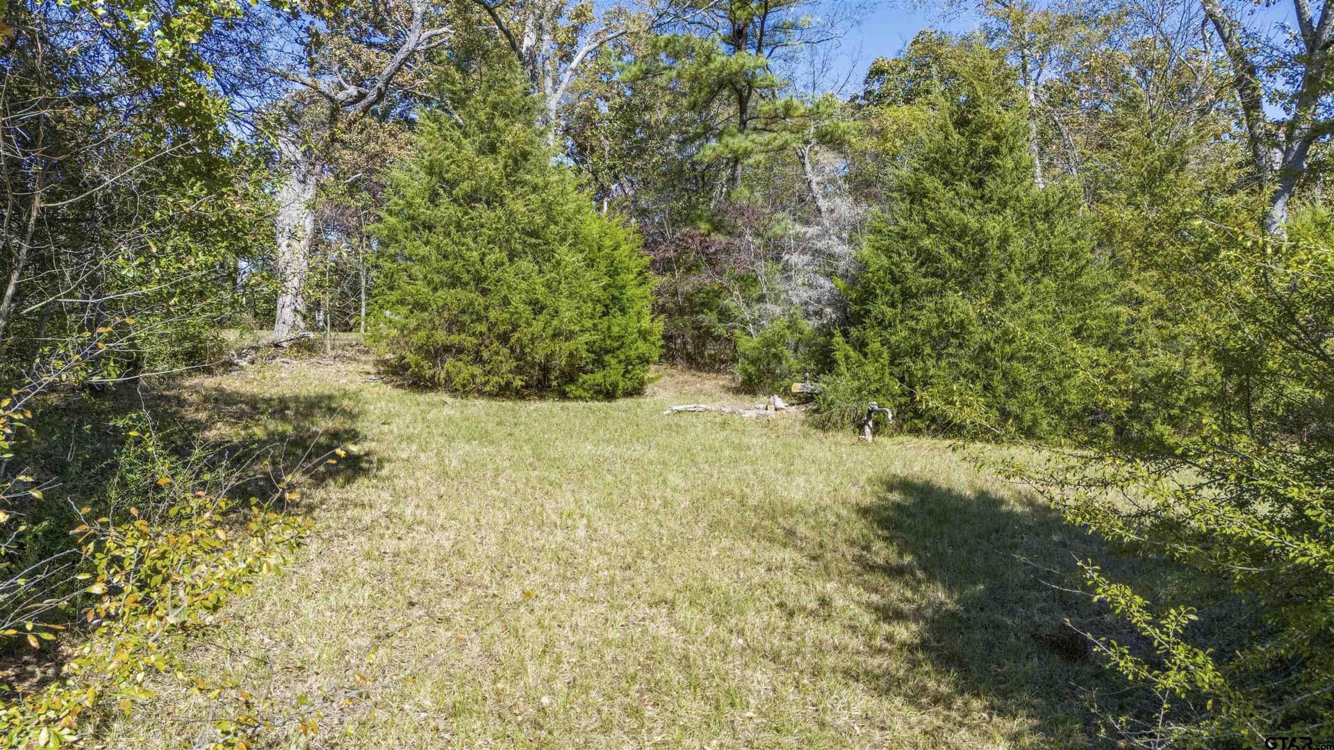0.6 acres in Smith County gallery image 3
