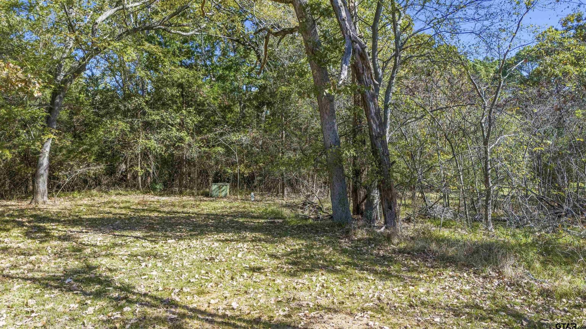0.6 acres in Smith County gallery image 2