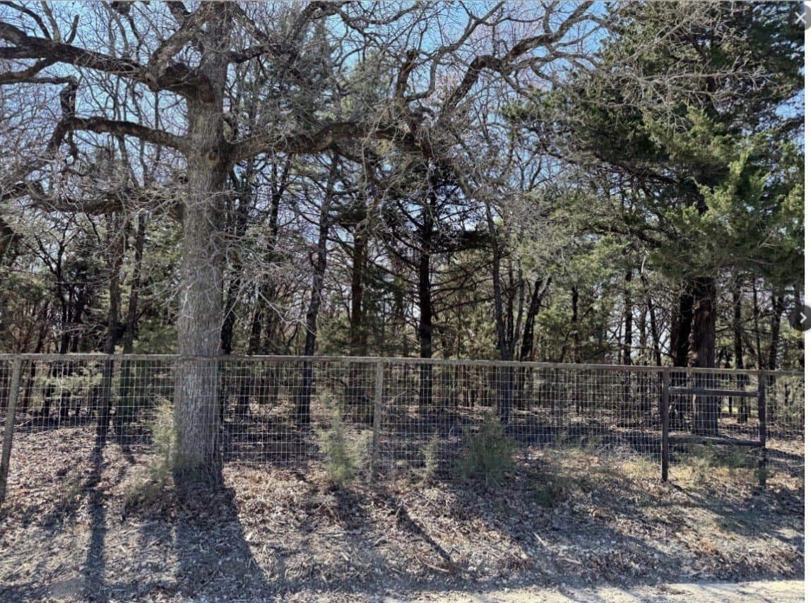 1.11 acres in Cooke County gallery image 4