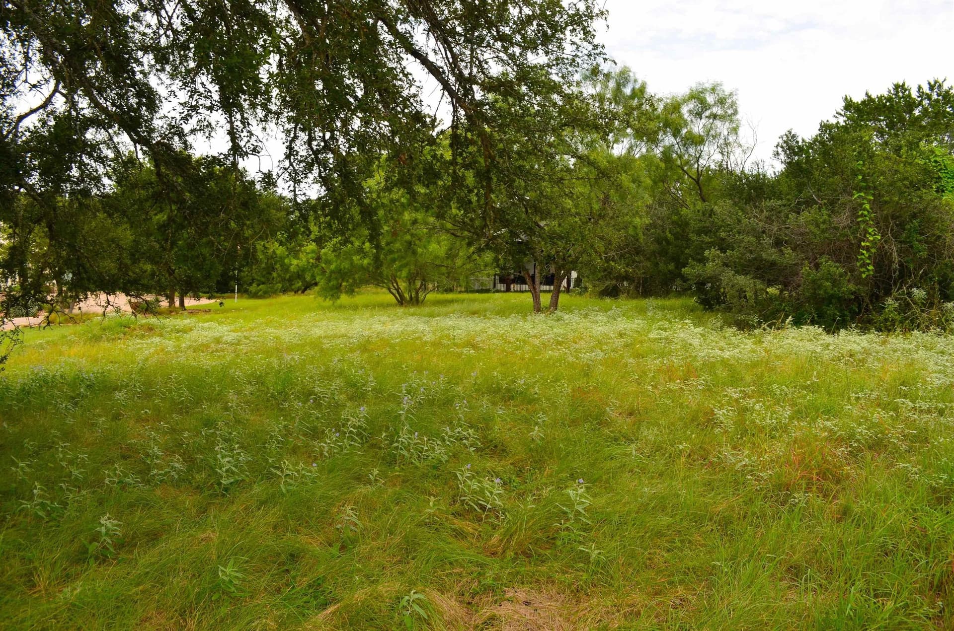 0.26 acres in Llano County - photo 20