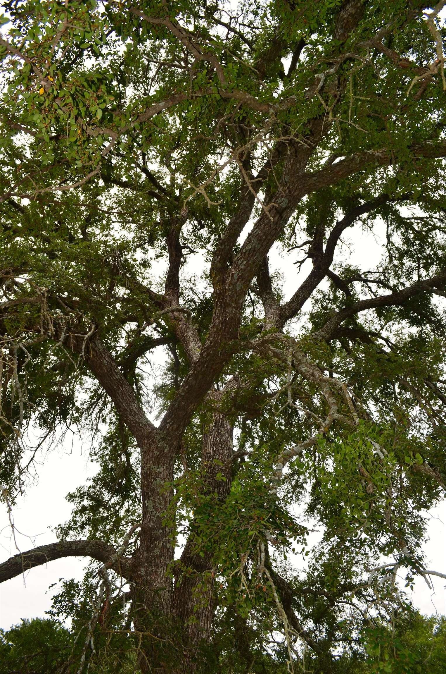 0.26 acres in Llano County - photo 22
